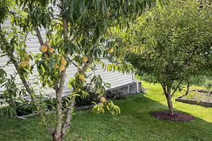 176 Roosevelt Dr, Barnesville, PA 17948 - Photo 50