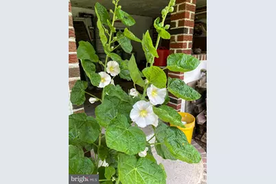 176 Roosevelt Drive, Barnesville, PA 17948 - Photo 52