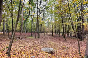 521 Hay Stack Dr, Zion Grove, PA 17985 - Photo 1