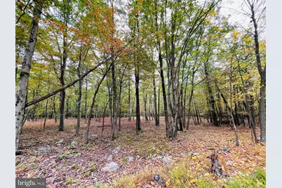 521 Haystack Drive, Zion Grove, PA 17985 - Photo 2