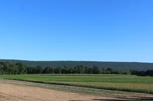 110 S 17th St, Tower City, PA 17980 - Photo 4