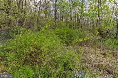 620 W Bacon Street, Pottsville, PA 17901 - Photo 26