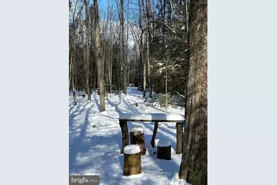 107 Dorset Rd, New Ringgold, PA 17960 - Photo 48