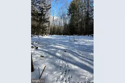 107 Dorset Rd, New Ringgold, PA 17960 - Photo 46