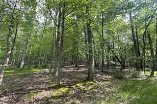 374 Davos Cir, Zion Grove, PA 17985 - Photo 1