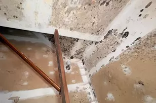 700 W Walnut St, Ashland, PA 17921 - Photo 2