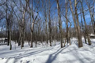 80 Saint Moritz, Zion Grove, PA 17985 - Photo 1