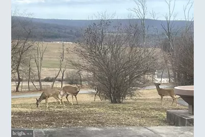 76 Zehner Lane, Landingville, PA 17972 - Photo 22