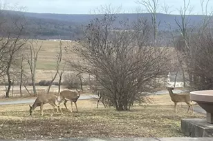 76 Zehner Ln, Landingville, PA 17972 - Photo 22