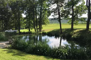 76 Zehner Ln, Landingville, PA 17972 - Photo 28