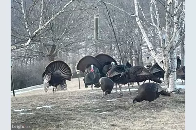 76 Zehner Lane, Landingville, PA 17972 - Photo 24