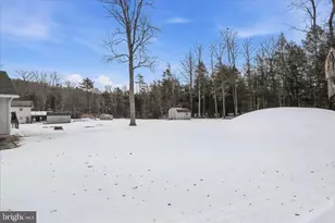 37 Goose Pond Rd, New Ringgold, PA 17960 - Photo 28