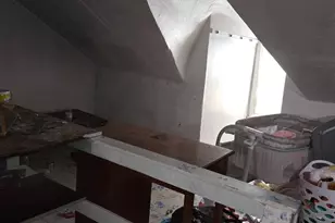 217 W Cherry St, Shenandoah, PA 17976 - Photo 14