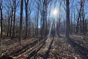 344 White Face Cir, Zion Grove, PA 17985 - Photo 1