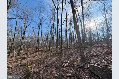 329 Whiteface Circle, Zion Grove, PA 17985 - Photo 4