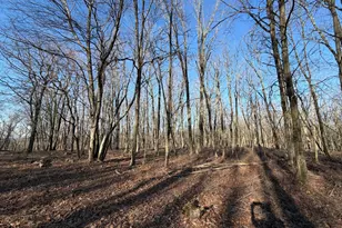 386 Davos Cir, Zion Grove, PA 17985 - Photo 1