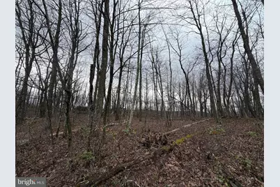 Lot 287.1 Spring Mountain Dr, Zion Grove, PA 17985 - Photo 2