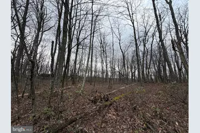 Lot 287.1 Spring Mountain Dr, Zion Grove, PA 17985 - Photo 4