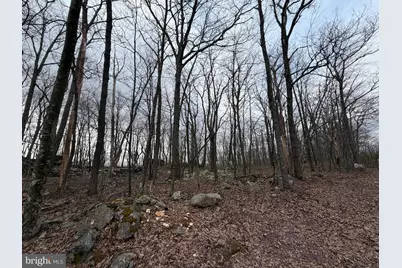 Lot 287.1 Spring Mountain Dr, Zion Grove, PA 17985 - Photo 6