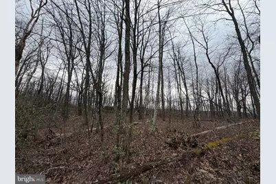 Lot 287.2 Spring Mountain Dr, Zion Grove, PA 17985 - Photo 4