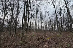 Lot 287 2 Spring Mountain Dr, Zion Grove, PA 17985 - Photo 1