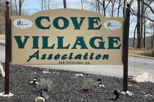 135 Spring Mountain Dr, Zion Grove, PA 17985 - Photo 1