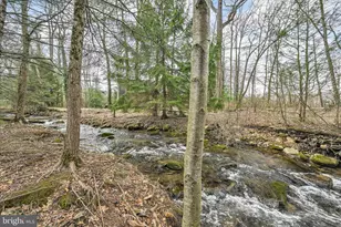 232 Bear Creek Rd, Schuylkill Haven, PA 17972 - Photo 8