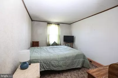 243 Pierce Street, Pottsville, PA 17901 - Photo 16