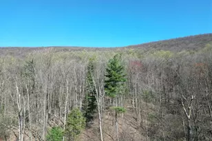 690 High Rd, Ashland, PA 17921 - Photo 34