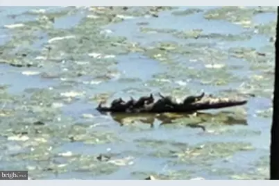 92 Shoreline Drive, Pine Grove, PA 17963 - Photo 82