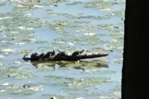 92 Shoreline Dr, Pine Grove, PA 17963 - Photo 82