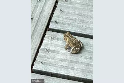 92 Shoreline Drive, Pine Grove, PA 17963 - Photo 72