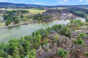 92 Shoreline Dr, Pine Grove, PA 17963 - Photo 66