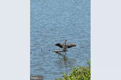 92 Shoreline Drive, Pine Grove, PA 17963 - Photo 78