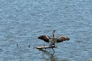 92 Shoreline Dr, Pine Grove, PA 17963 - Photo 78