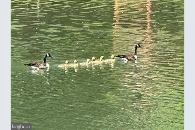 92 Shoreline Drive, Pine Grove, PA 17963 - Photo 76