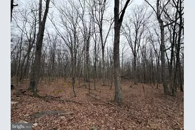 518 Haystack Drive, Zion Grove, PA 17985 - Photo 2