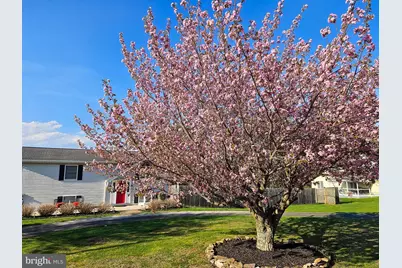 1360 Stag Drive, Auburn, PA 17922 - Photo 4