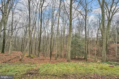 826 Pinewood Drive, Pottsville, PA 17901 - Photo 32