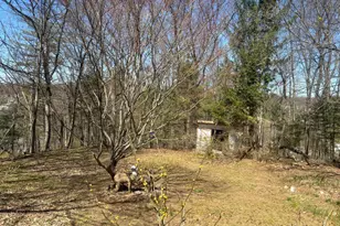 1956 3rd Ave, Pottsville, PA 17901 - Photo 6