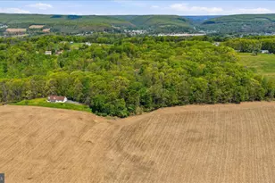 954 Schuylkill Mountain Rd, Schuylkill Haven, PA 17972 - Photo 40
