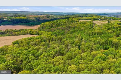954 Schuylkill Mountain Road, Schuylkill Haven, PA 17972 - Photo 44