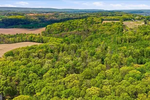 954 Schuylkill Mountain Rd, Schuylkill Haven, PA 17972 - Photo 44