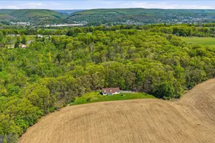 954 Schuylkill Mountain Rd, Schuylkill Haven, PA 17972 - Photo 6