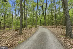 954 Schuylkill Mountain Rd, Schuylkill Haven, PA 17972 - Photo 38