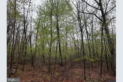 571 Haystack Drive, Zion Grove, PA 17985 - Photo 4