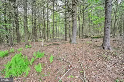 81 Stump Lane, Pine Grove, PA 17963 - Photo 62