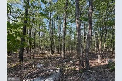 136 Spring Mountain Dr, Zion Grove, PA 17985 - Photo 2