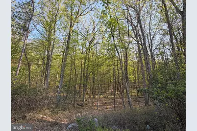 462 Spring Mountain Dr, Zion Grove, PA 17985 - Photo 6
