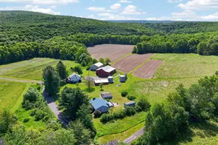 62 Stoney Rd, Tamaqua, PA 18252 - Photo 56